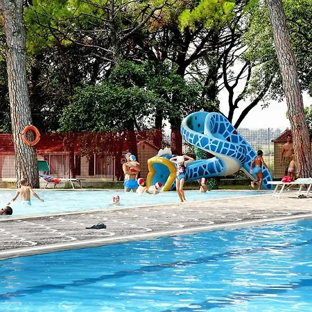 Belvedere, * Grado